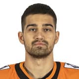 Рауль Акмальдинов