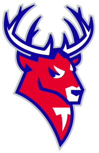 ХК «Торпедо» 