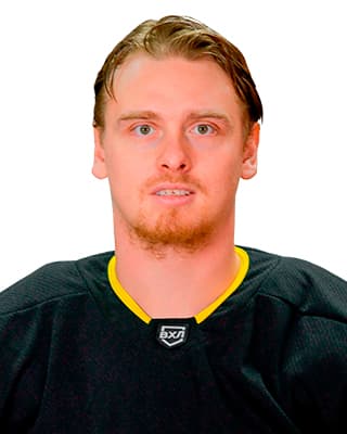 Владимир Бобылев