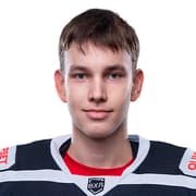 Денис Габдрахманов 