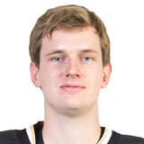 Александр Шепелев