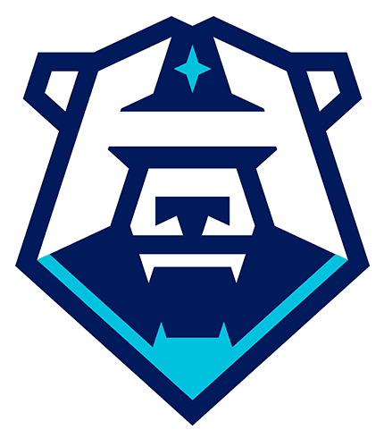 ХК «Норильск» 