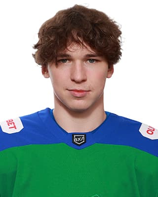 Сергей Колесников 