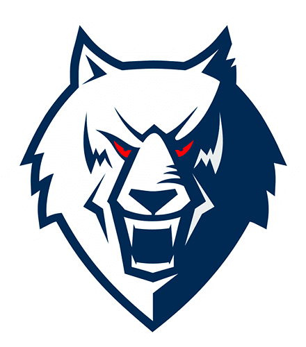 ХК «Нефтехимик» 