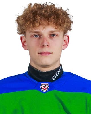 Максим Загребин