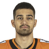 Рауль Акмальдинов