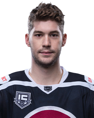 Владислав Джиошвили