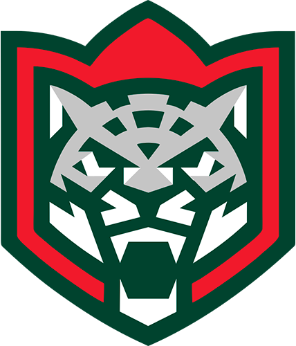 ХК «Ак Барс» 